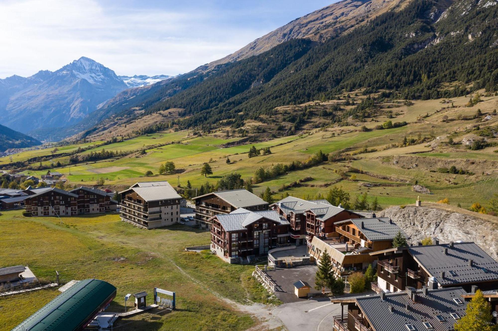 Fleurs Et Neige Lanslevillard