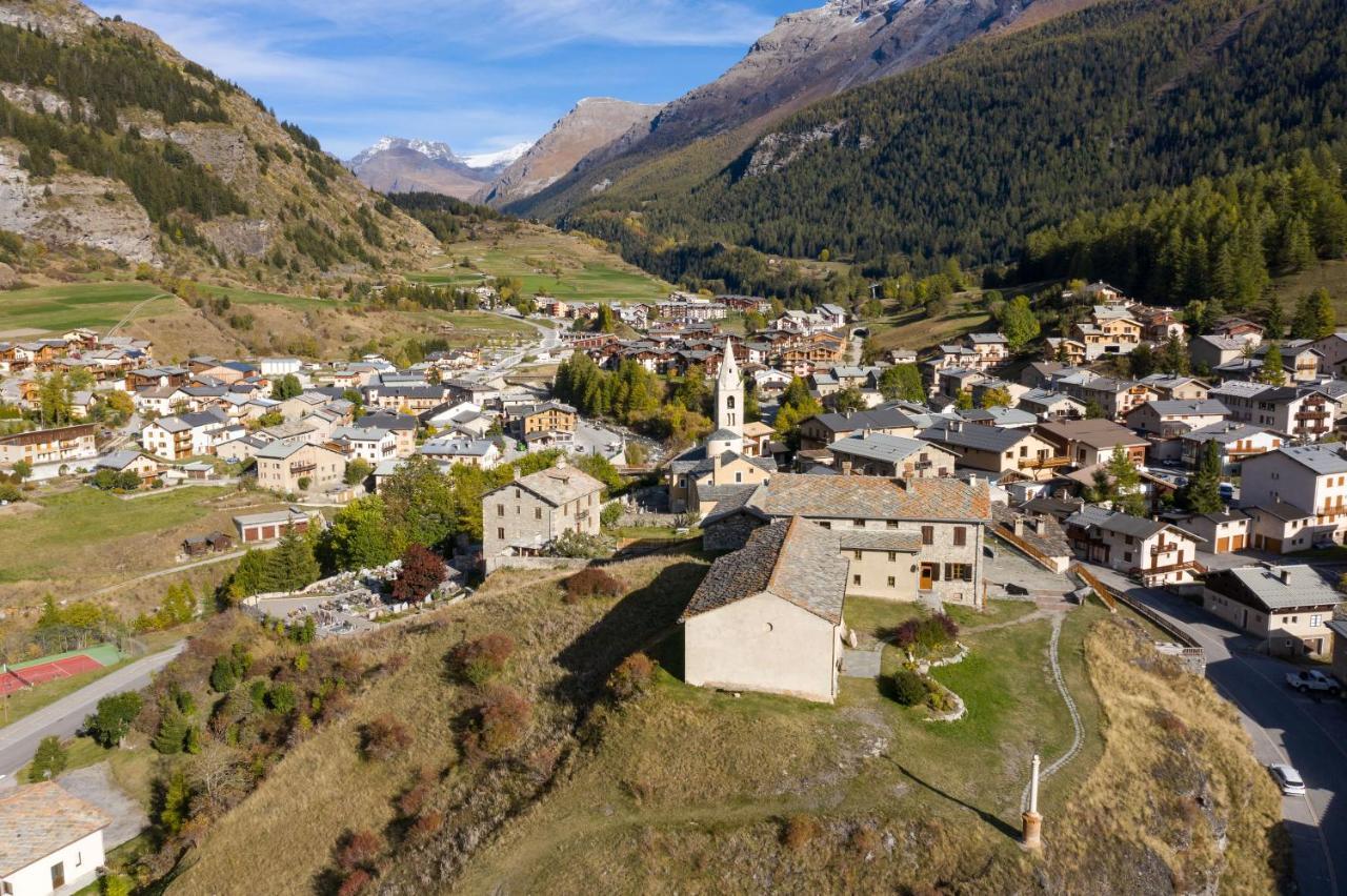 Fleurs Et Neige Lanslevillard